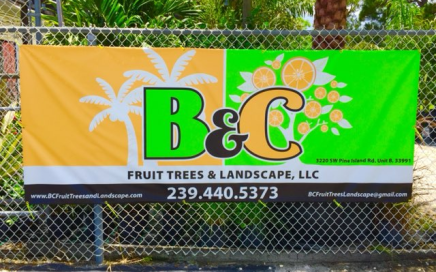 Local plant nursery Cape Coral